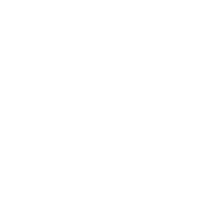 Weißes Icon mit einem Ticket und Text "Deutschlandticket" – Symbol für bezuschusstes Jobticket bei Printus