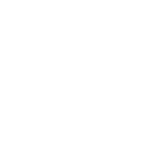 Türkises Icon mit Gehstock und Geldsack mit Eurozeichen – Symbol für betriebliche Altersvorsorge bei Printus