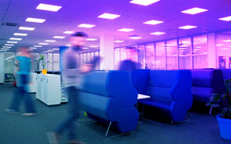 Schnellaufnahme aus dem Printus Büro wie ein Mitarbeiter durch das Bild läuft